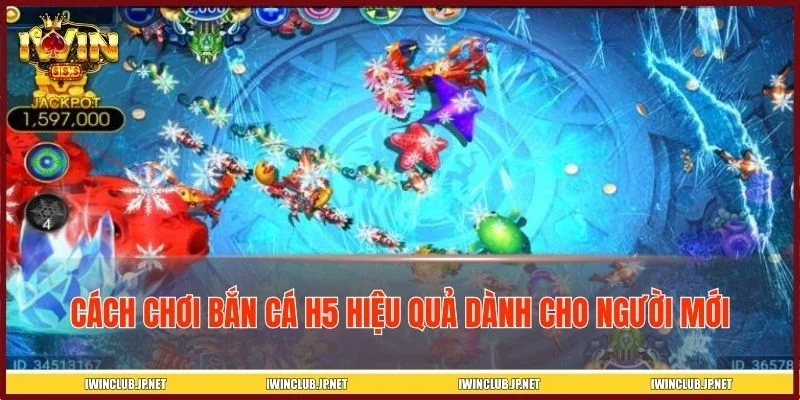Hướng dẫn chi tiết game thủ mới cách chơi bắn cá H5