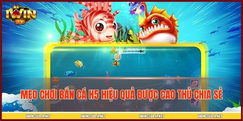 Tổng hợp các mẹo chơi bắn cá H5 hiệu quả