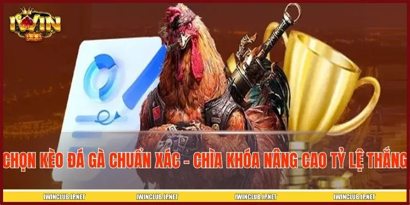 Chọn kèo đá gà chuẩn xác là chìa khóa nâng cao tỷ lệ thắng